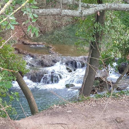 4 Safraniers Panzió Sillans-la Cascade Kültér fotó