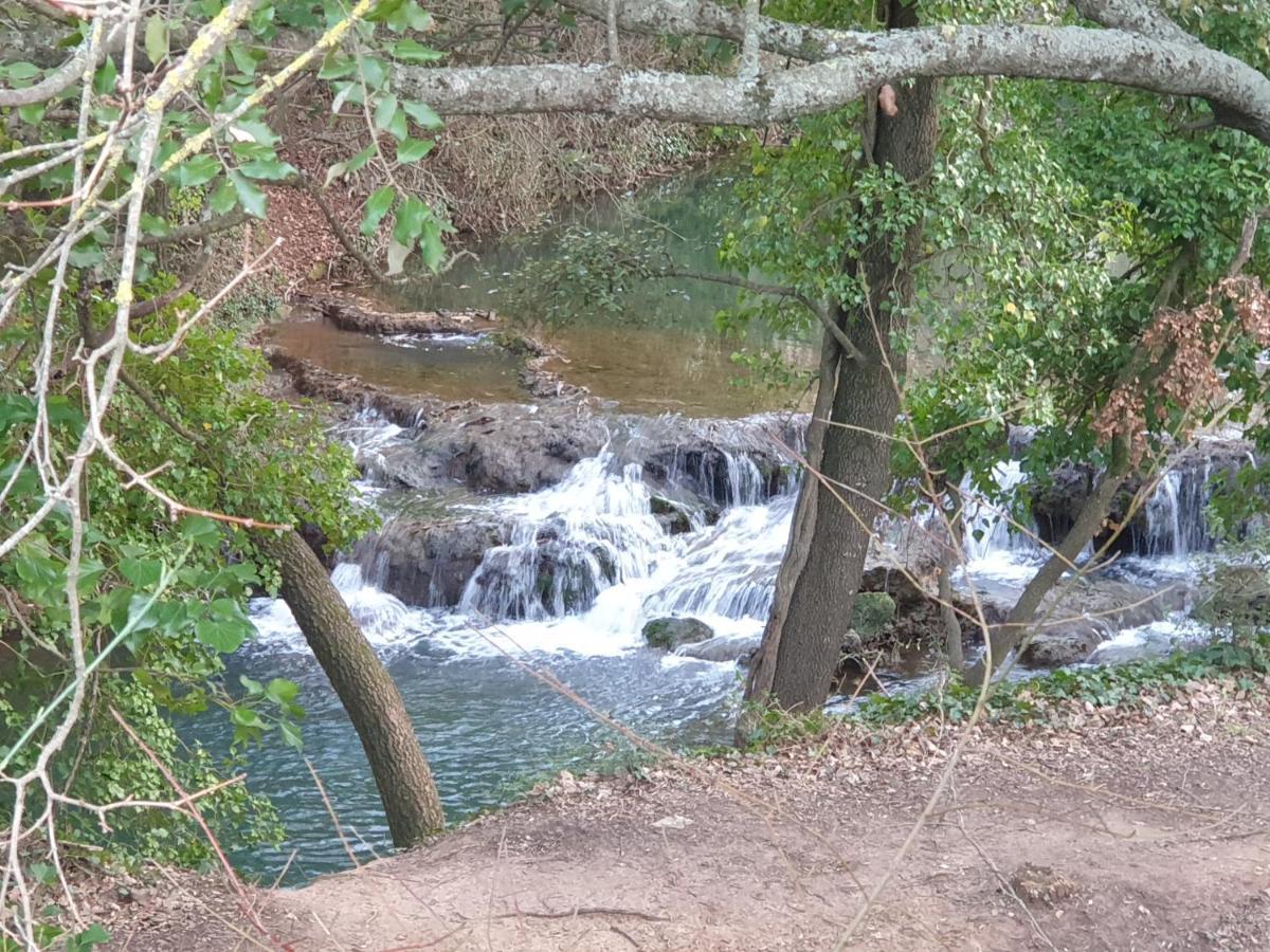 4 Safraniers Panzió Sillans-la Cascade Kültér fotó