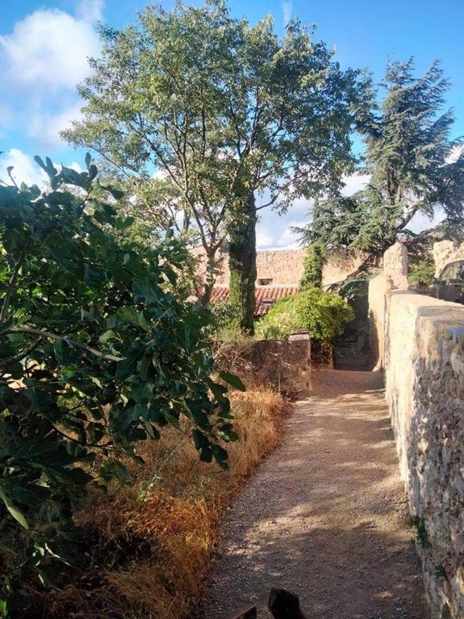 4 Safraniers Panzió Sillans-la Cascade Kültér fotó